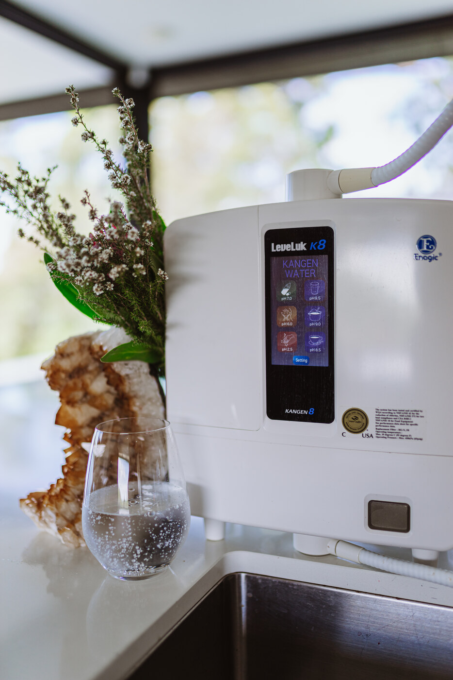 Enagic LeveLuk K8 Kangen Water machine on a kitchen counter with an amethyst crystal